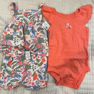 NWT sz 9M Carter's Baby Girl 3 pc Set